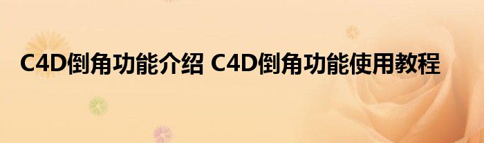 C4D倒角功能介绍 C4D倒角功能使用教程